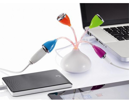 USB-разветвитель «Букет»